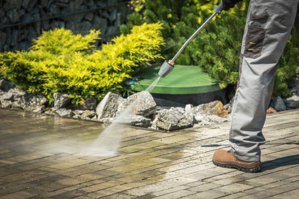 Best Soft Washing  in Placerville, CA