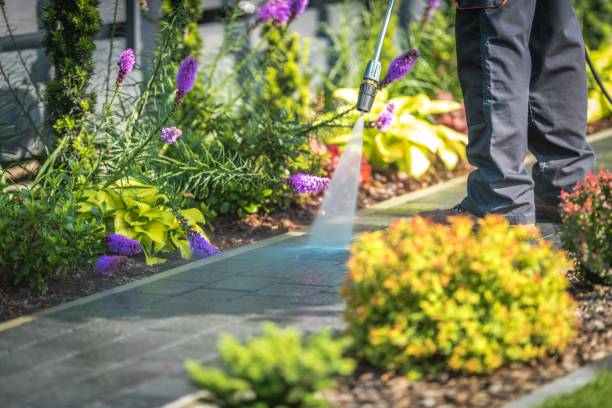 Professional Pressure Washing Services in Placerville, CA