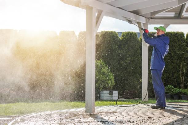 Best Boat and Dock Cleaning  in Placerville, CA