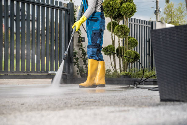 Best Dumpster Area Cleaning  in Placerville, CA